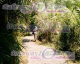 Pathway in the Garden Surrounding the vic falls