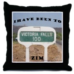 victoria falls pillow