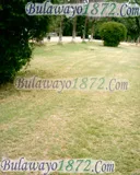 Centenary Park, photograph 9 of 13