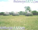 Old Bulawayo, photograph 22 of 23
