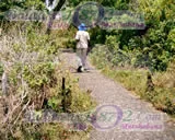 Victoria Falls, photograph 25 of 44